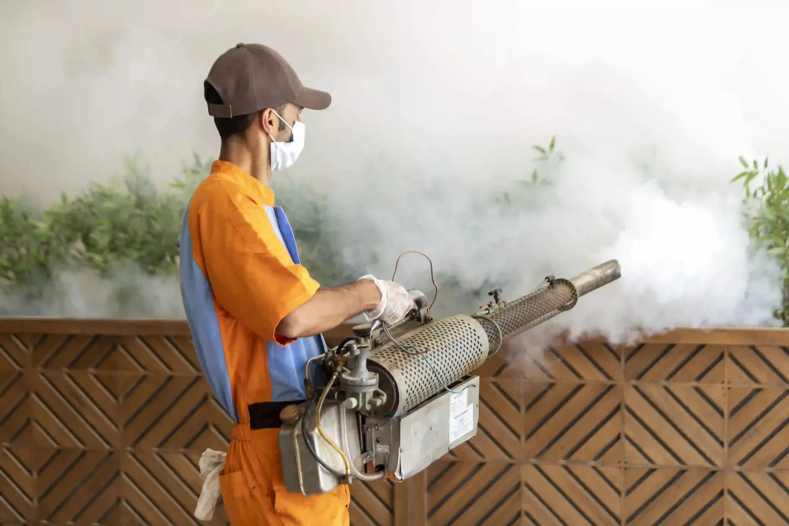 شركة مكافحة حشرات بالقصيم