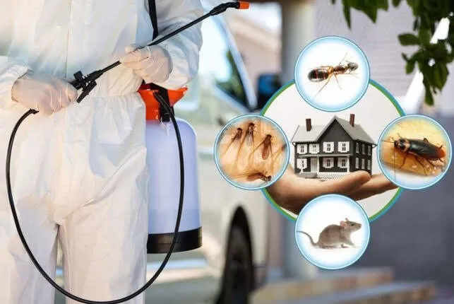 شركة مكافحة حشرات بالقصيم 0551803249