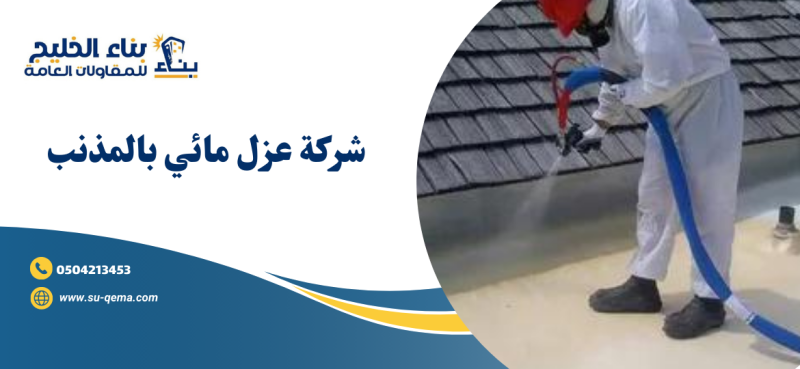 شركة عزل مائي بالمذنب